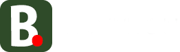 Pro Blogging Skills